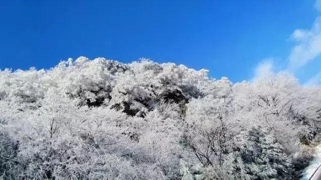 校园女生找不同4